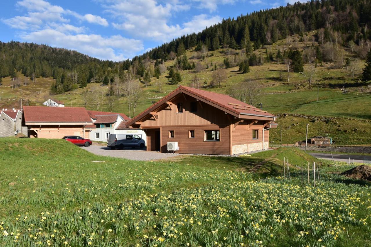 TOUT NEUF - Chalet Pébie 8 à 10 pers avec sauna La Bresse Esterno foto